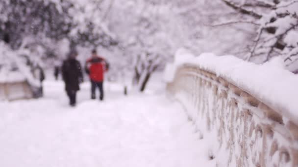 Largo tiro de invierno nevada de Nueva York (estático - día ) — Vídeo de stock