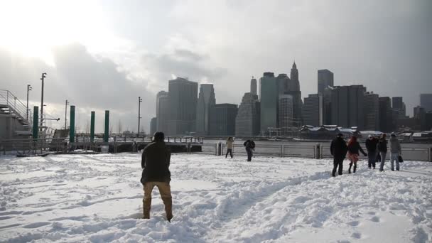 Long shot of Snow Manhattan (static - day) — Stock Video