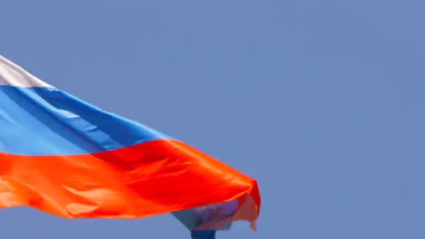 Russische vlag — Stockvideo