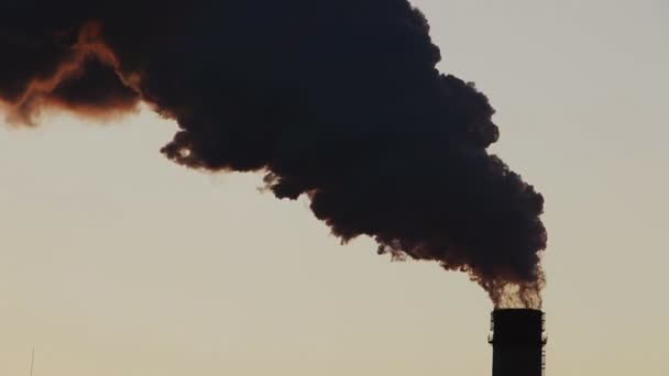 Colpo medio di tubo industriale Smoke (statico - giorno ) — Video Stock