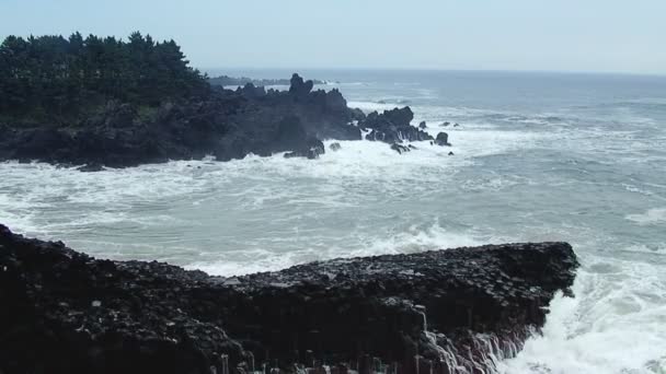 Pacific oceanfront. Bad weather — Stock Video