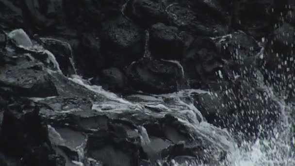 Au bord de l'océan Pacifique. Mauvais temps — Video