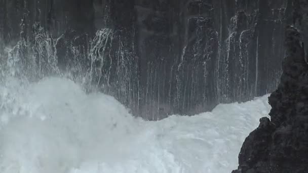 Au bord de l'océan Pacifique. Mauvais temps — Video