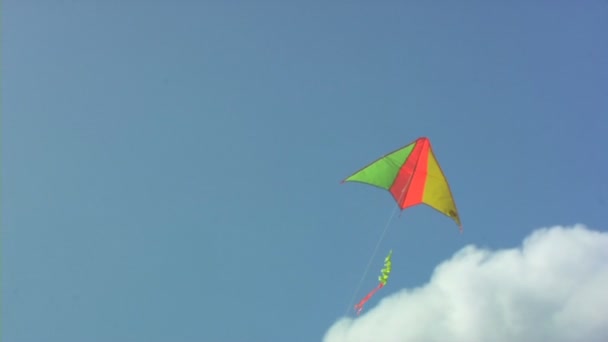 与孩子放风筝的人。慢动作. — 图库视频影像