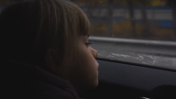 Alle meisje op het venster in de auto — Stockvideo