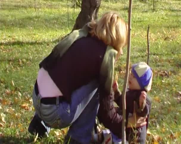 La joven camina con el bebé en el parque.Pantalla ancha anamórfica — Vídeos de Stock