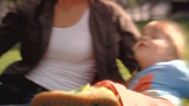 Sequência de tiros de foco suave. Família feliz brincando no parque — Vídeo de Stock