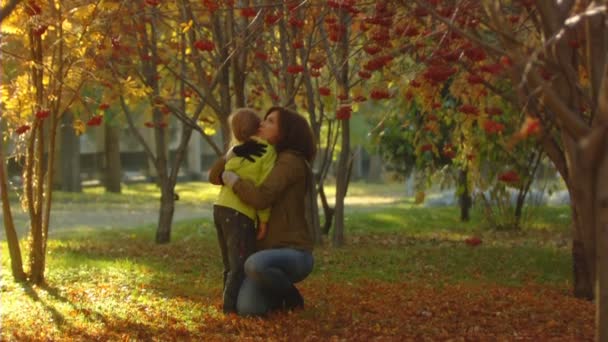 Sequenz von Zeitlupenaufnahmen glückliche Mutter und das kleine Mädchen werfen Herbstblätter. — Stockvideo