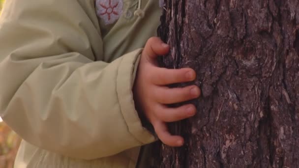 Niña abrazando árbol — Vídeos de Stock