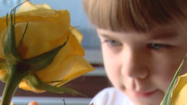 Little girl smells roses — Stock Video