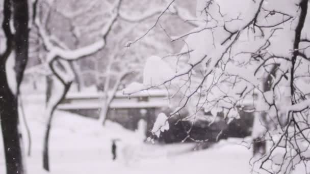 Нью-Йорк Парк под снегопадом — стоковое видео