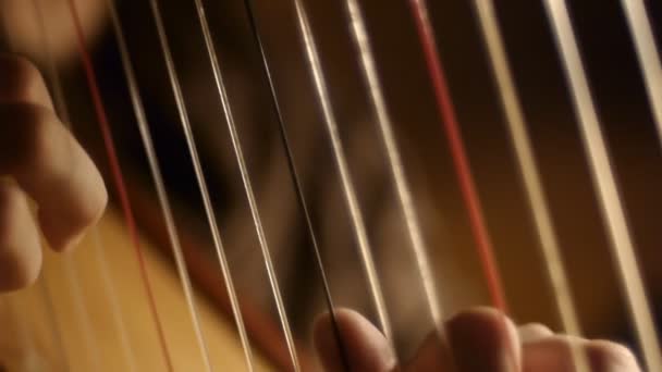 Harpiste — Stockvideo