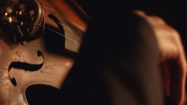 バイオリンを演奏する音楽家 — ストック動画