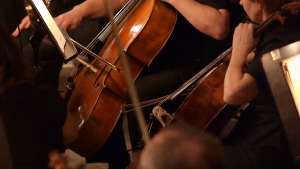 Orchestra pit — Stock Video