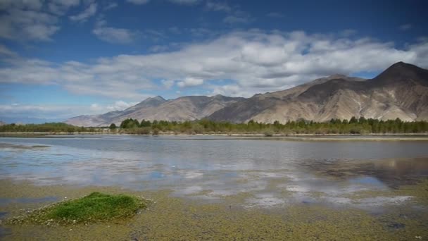 Nature of Tibet — Stock Video