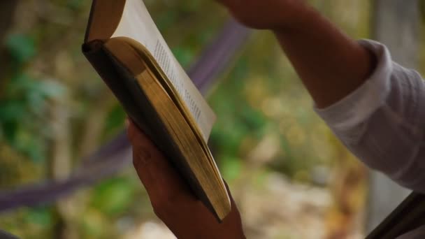 El hombre lee un libro a orillas de una isla tropical — Vídeo de stock