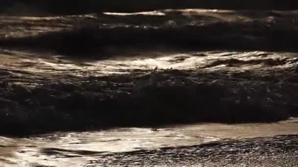 Oceaangolven bij zonsondergang — Stockvideo