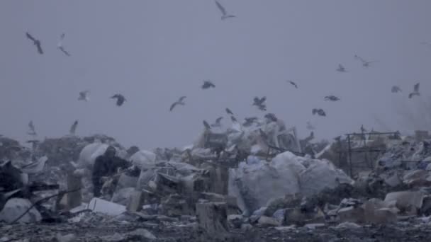 Средний выстрел по вывозу мусора на свалку (статический - день ) — стоковое видео