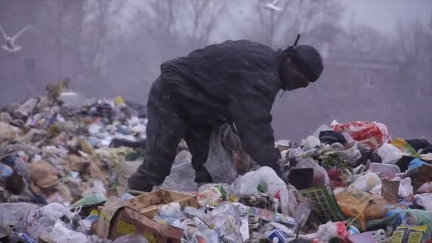 Middellange schot van huisvuil dumpen onzin dumpen (statische - dag) — Stockvideo