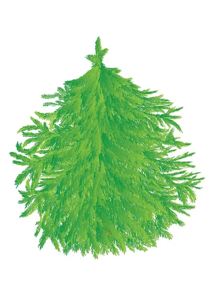 Grüner und pelziger Baum — Stockvektor