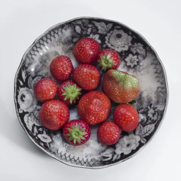 Bush cake Stock Photos, Royalty Free Bush cake Images Depositphotos®