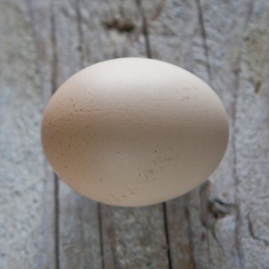 Egg on an old wooden board clipart
