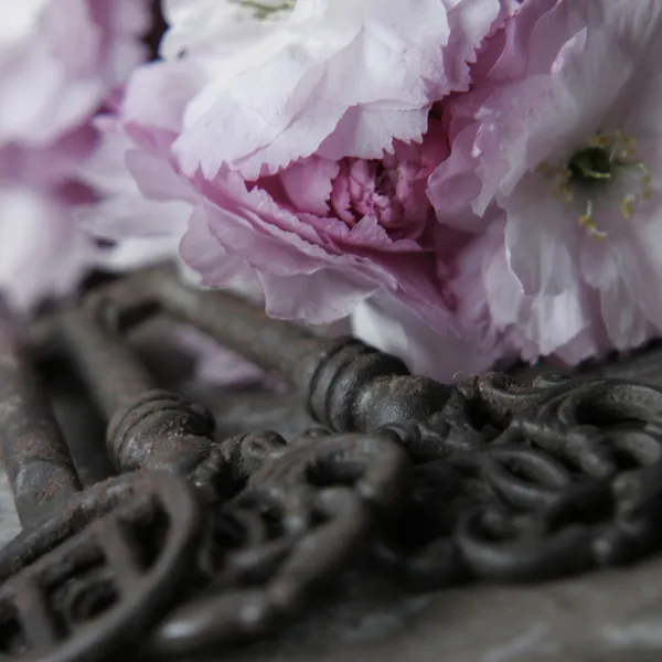 Eski anahtar taşı yanında çiçek — Stok fotoğraf