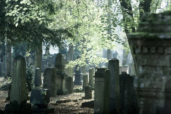 Gamla kyrkogården — Stockfoto