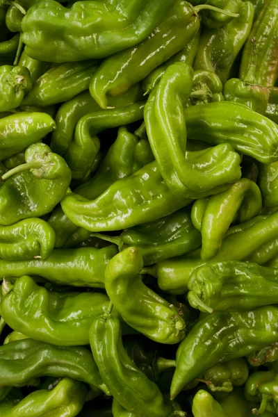 Sfondo di peperoni verdi — Foto Stock
