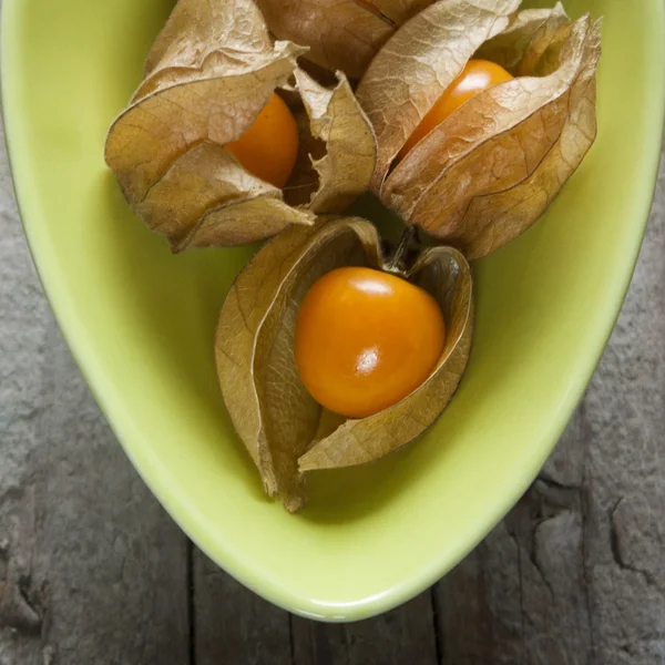 Physalis. — Foto de Stock