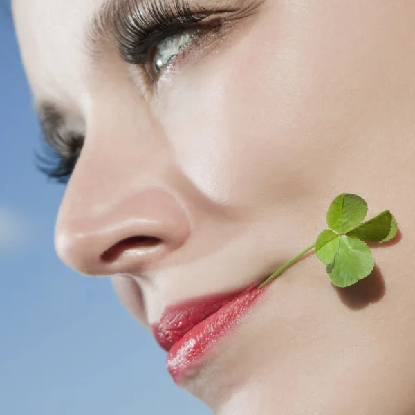 Four-leafed clover — Stock Photo, Image