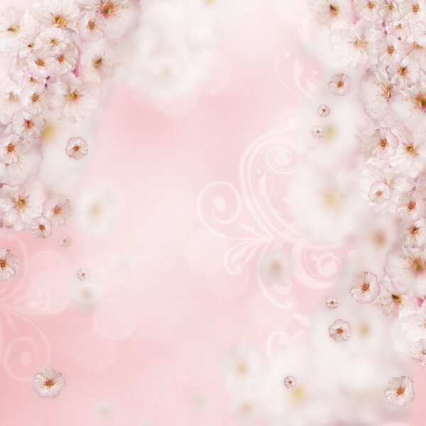 Розовый фон с белыми цветами
