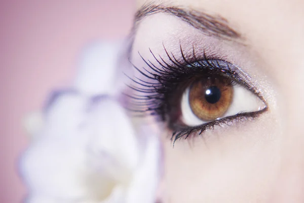 Rosto de uma menina bonita com uma flor branca — Fotografia de Stock