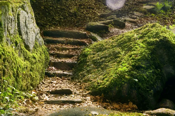 Лестница между скалами — стоковое фото