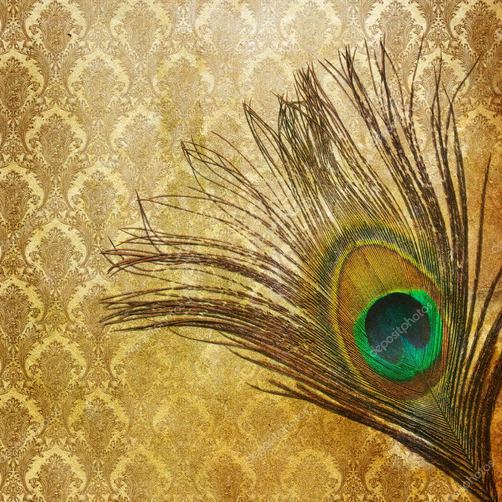 vintage feather background