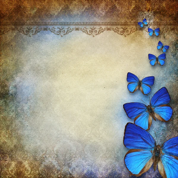 picture Vintage Fondos De Mariposas Y Flores mariposas vintage imagenes fotos de