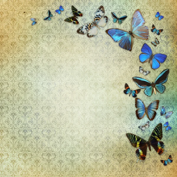Fundo grunge vintage com borboletas azuis — Fotografia de Stock