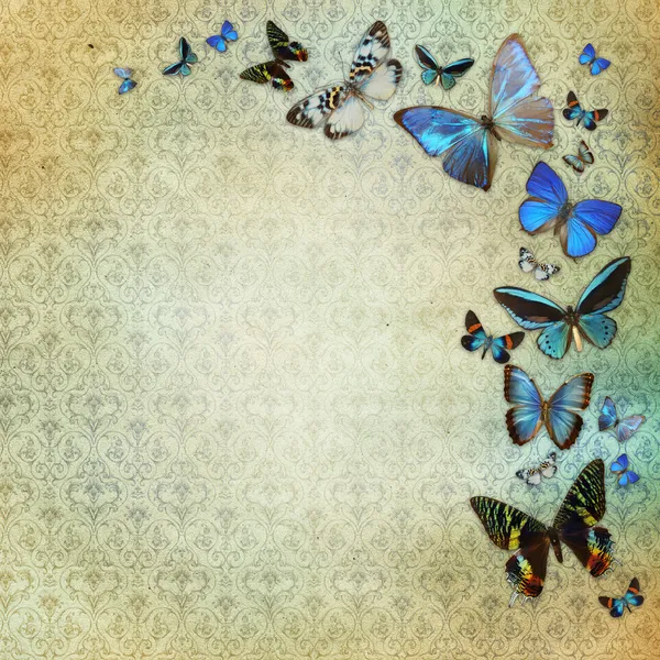 Mariposas vintage fotos de stock, imágenes de Mariposas vintage sin royalties | Depositphotos Mariposas vintage fotos de stock, imágenes de Mariposas vintage sin royalties | Depositphotos