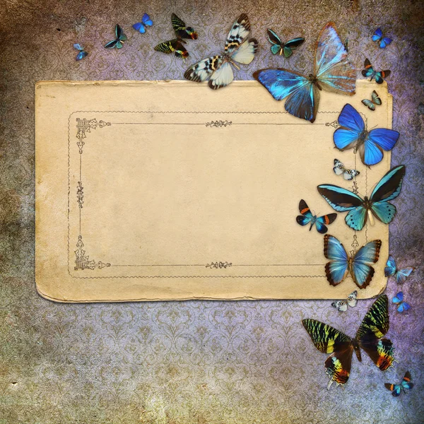 Vintage grunge background with butterflies — Stock Photo, Image