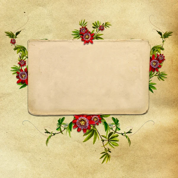 Vintage flower background — Stock Photo, Image