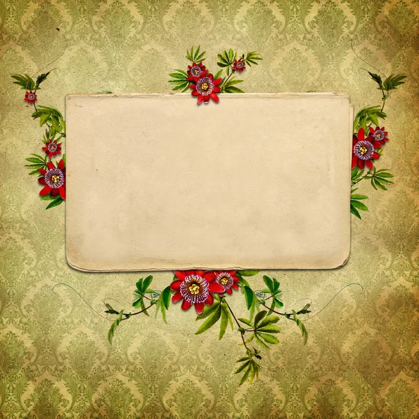 Vintage flower background — Stock Photo, Image