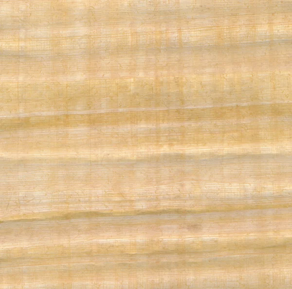 Papyrus surface — Stock Photo, Image