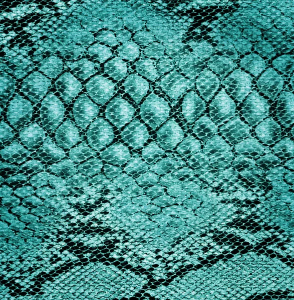 ヘビの皮の革 — ストック写真