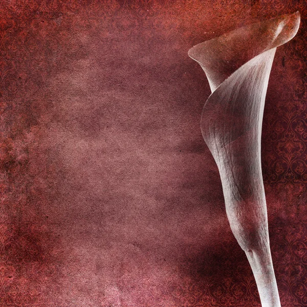 Винтажный потрёпанный шикарный фон с кудрявой лилией — стоковое фото