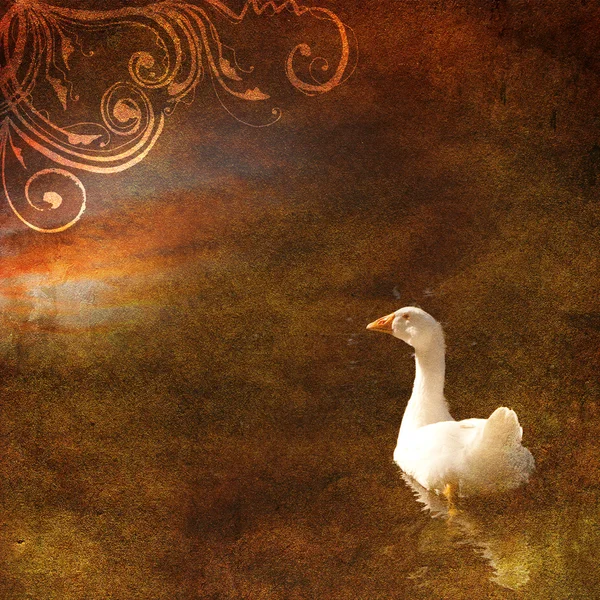 Vintage shabby chic background with goose — Stock Photo, Image