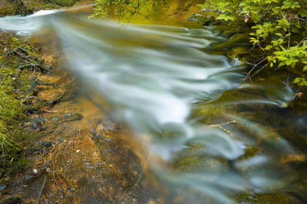 Ruscello nella foresta — Foto Stock