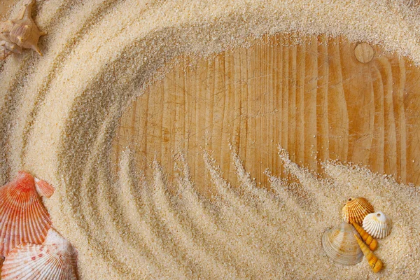 조개 모래 배경 — 스톡 사진