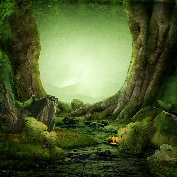 Dreamily forest