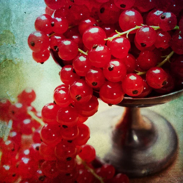 Vintage background with currants — Stock Photo, Image