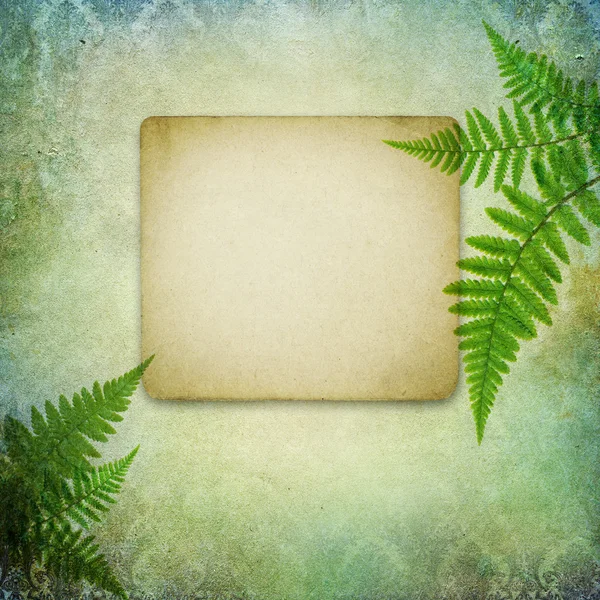 Vintage background with fern leaves — Stock Photo, Image